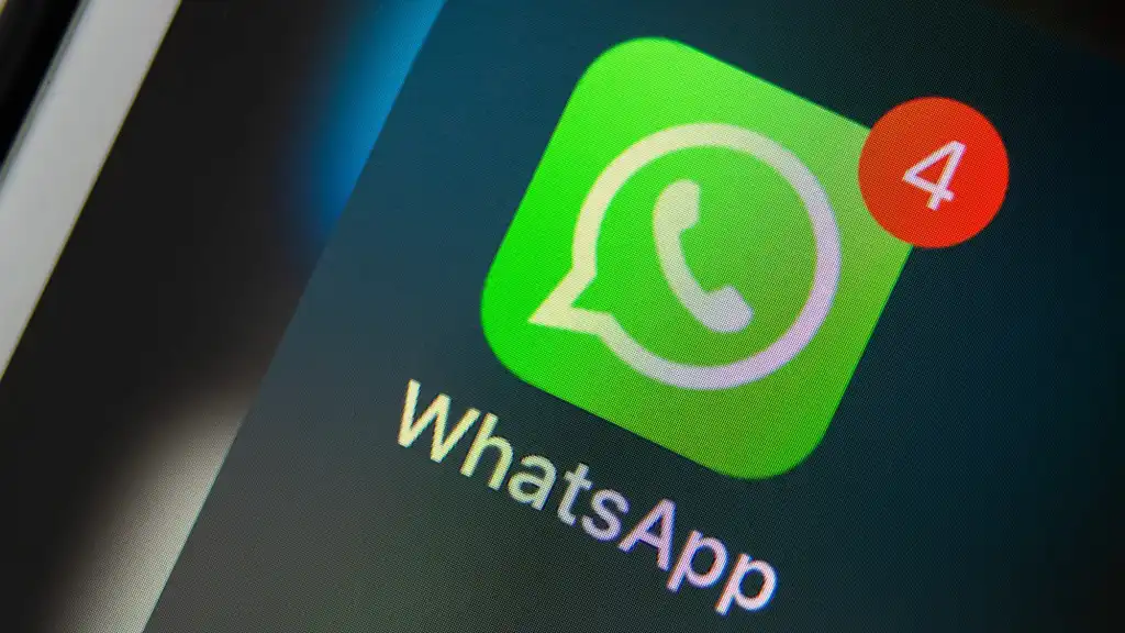 Detect WhatsApp user activity to optimize your social marketing